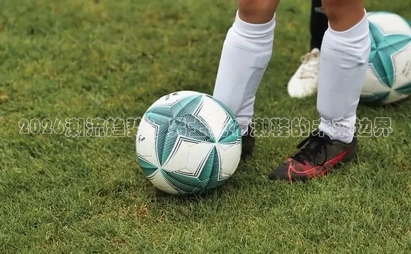 2026潮流趋势：男士帆布潮鞋的未来边界